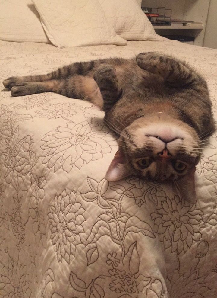 Mila